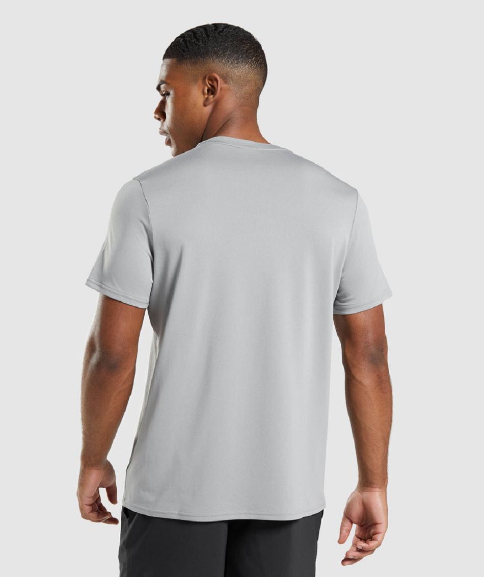 T Shirts Męskie Gymshark Arrival Regular Fit Szare | PL 3865TCE